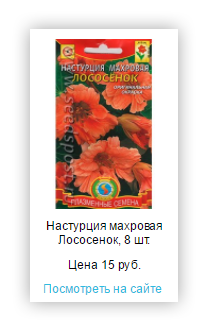 Growth Hacking в триггерных письмах интернет-магазина Seedspost.ru: Как увеличить конверсию на 120%