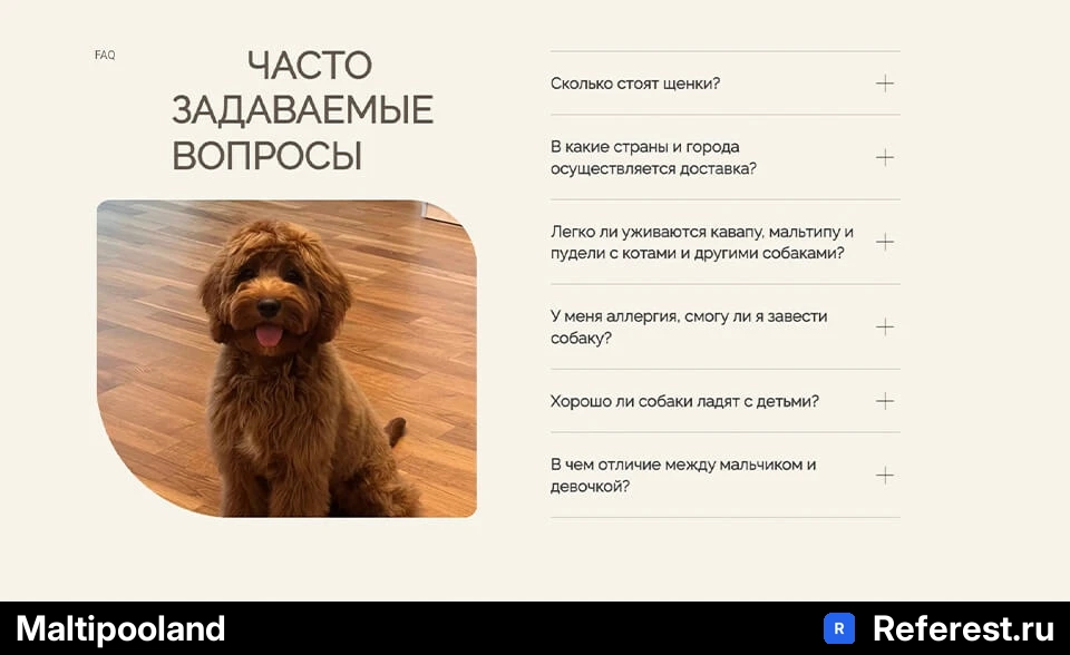 Что такое контент